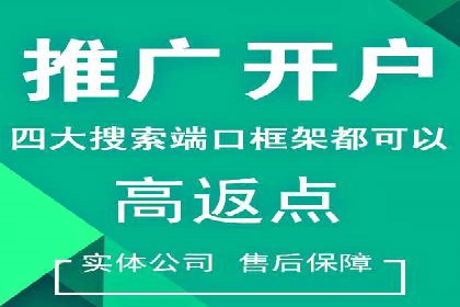 百度竞价广告投放案例解析